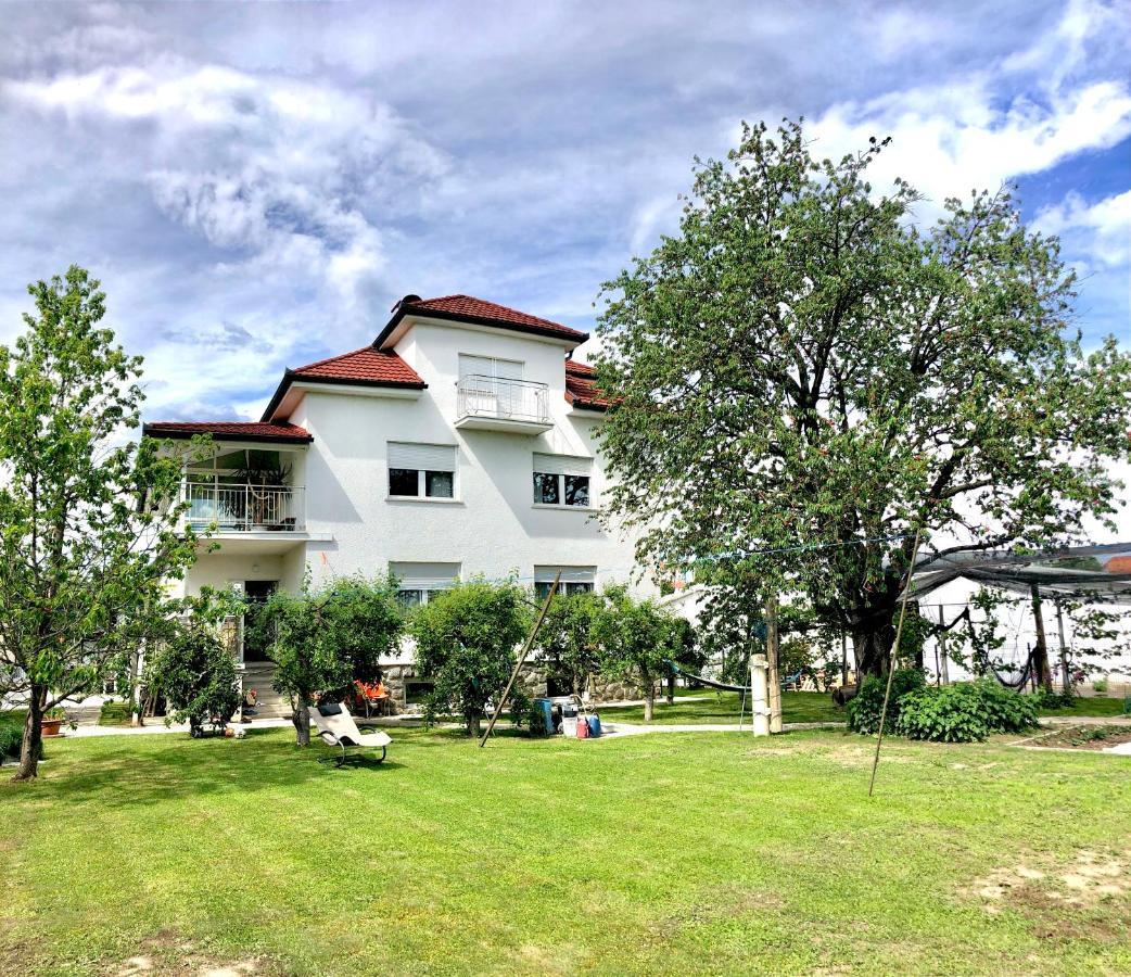 Apartments Andrej - OПтуй Экстерьер фото